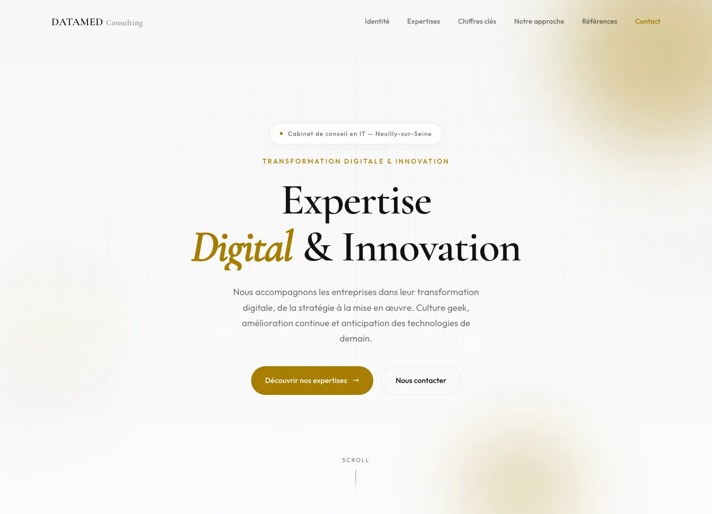 Aperçu desktop et mobile du site Datamed Consulting conçu par Agence Digi