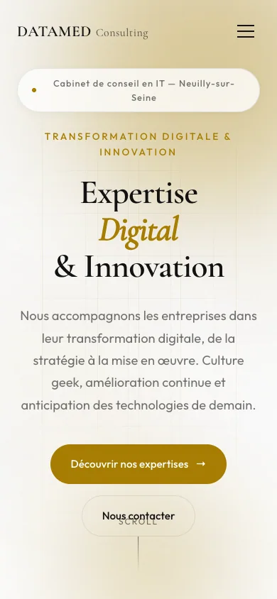 Aperçu desktop et mobile du site Datamed Consulting conçu par Agence Digi